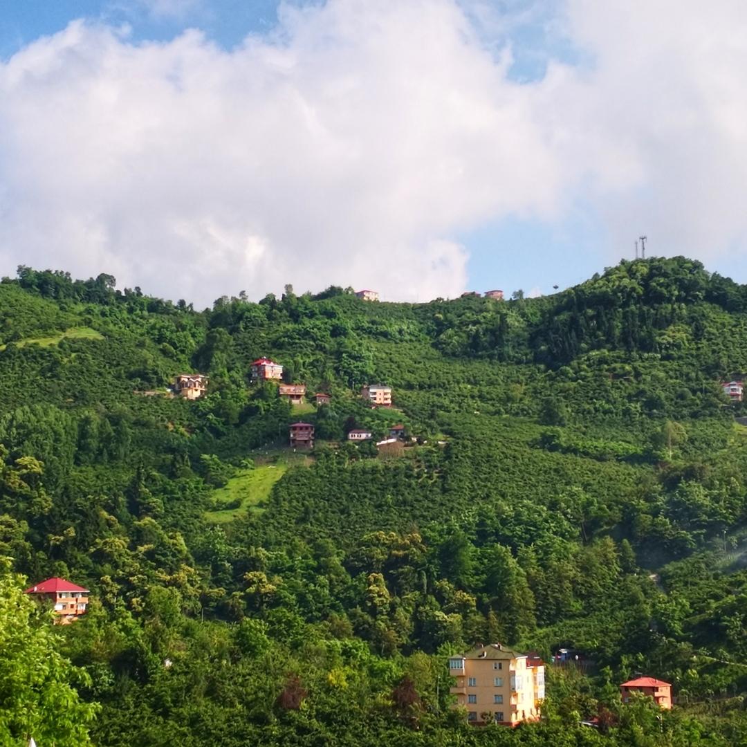 Trabzon Yaylası